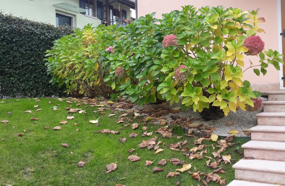 realizzazione e cura dei giardini trento e rovereto (17).jpg