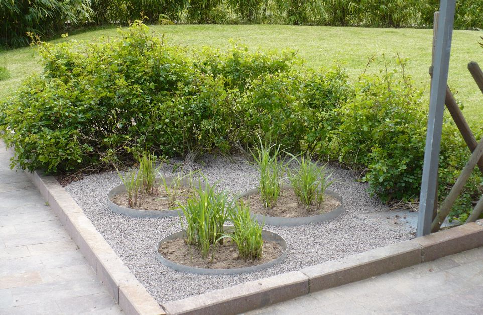 realizzazione e cura dei giardini trento e rovereto (28).jpg