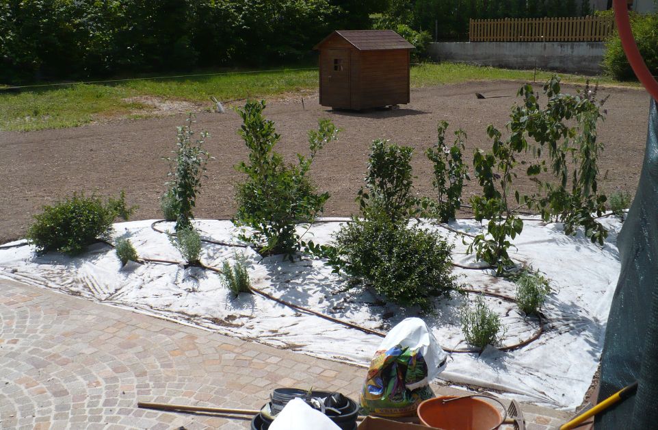 realizzazione e cura dei giardini trento e rovereto (7).jpg